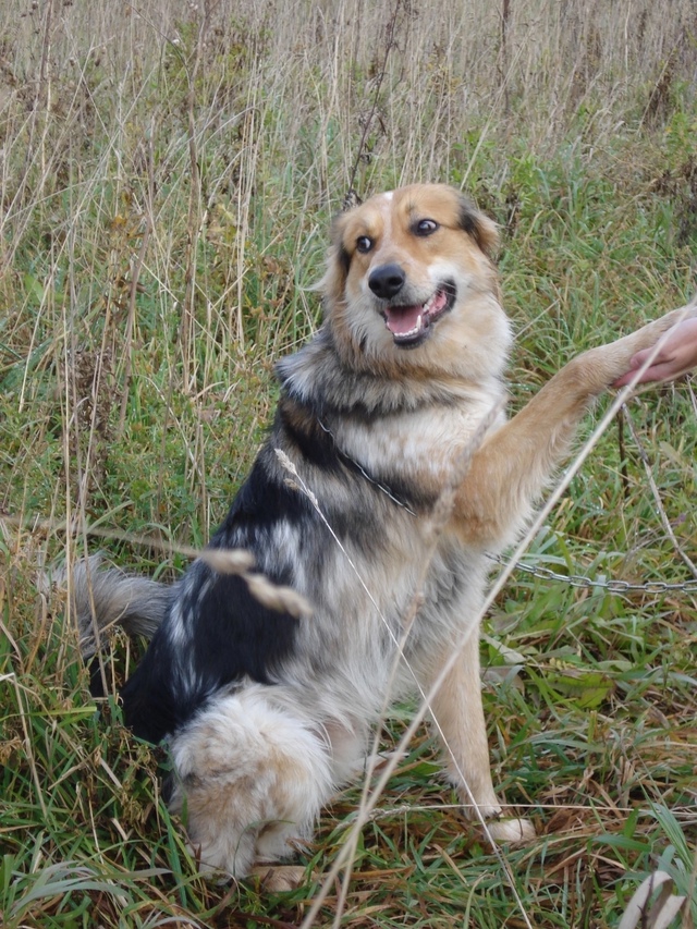 Ваши вопросы.
1⃣ Ищу квартиру на долги срок 1 комнатную...