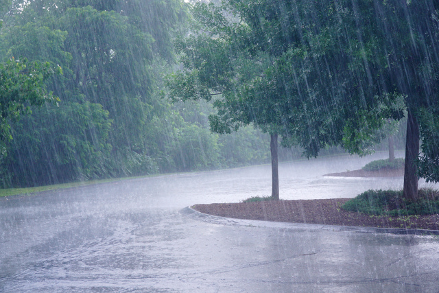 ☔️❗МЧС предупреждает
В ближайшее время Выксу и обла?...