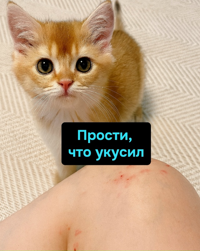 Это не привычка — это образ жизни. И ты в нём вечная жер...