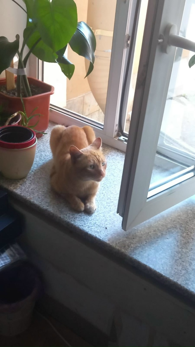 Уважаемые жители Кронштадта! Около месяца назад потер?...