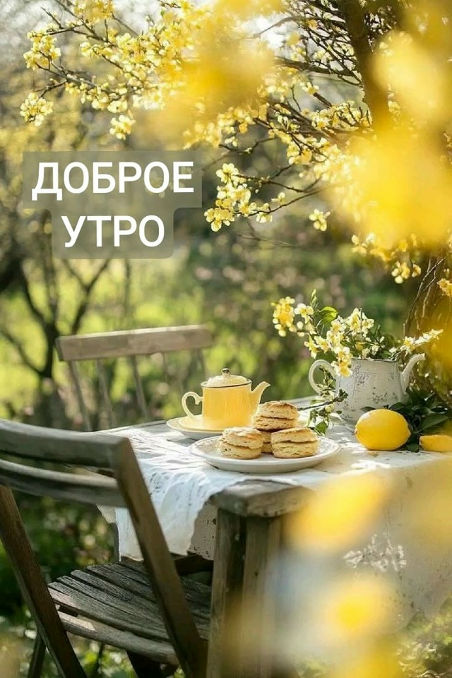 Доброе утро Подслушано!