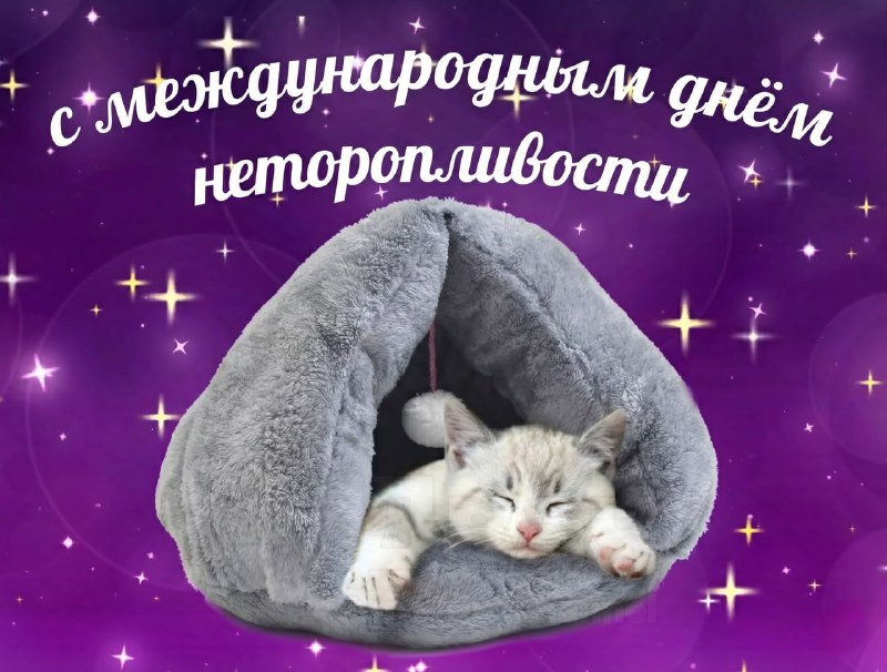 Сегодня отмечается Международный день неторопливости
В этот день не нужно спешить и можно побольше