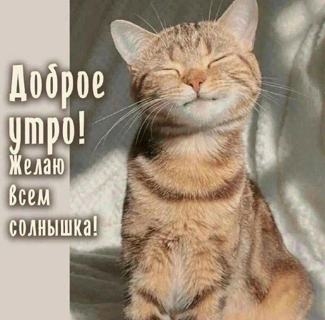 ☀️ ДОБРОЕ УТРО, НАРЬЯН-МАР! У НАС ДОПОЛНИТЕЛЬНЫЙ ВЫХОД...
