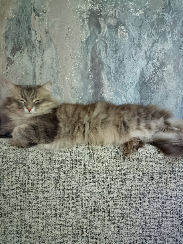 😺 Всем привет! На связи Маркиз Алексеич... Желаю вам вс?...