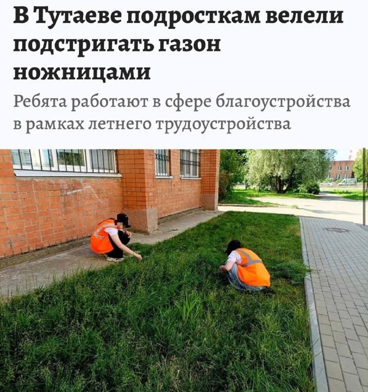 Школьников заставили стричь газон канцелярскими ножницами в Ярославской области.
Все произошло у м