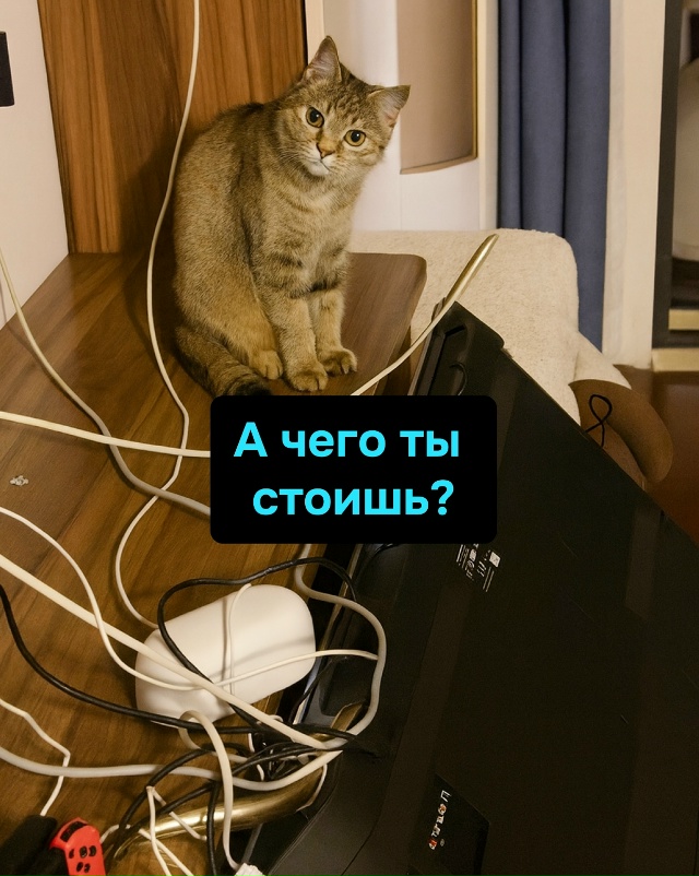 Лицо, на котором написано: «Я не виноват, но это было кр?...