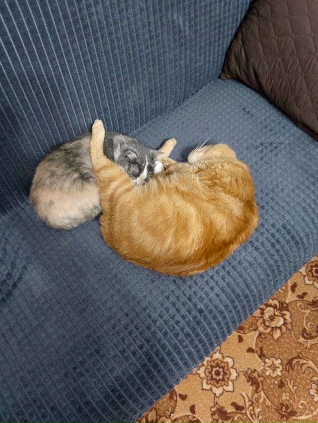 Мои любимки ❤️❤️❤️