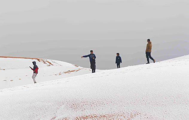 Сахару накрыло снегом.
Оранжевые песчаные дюны покрылись белым слоем — такое природное явление пр