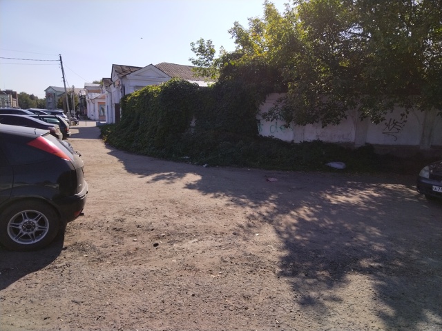 Сегодня утро , на площади Ленина на газоне ,перед магаз?...