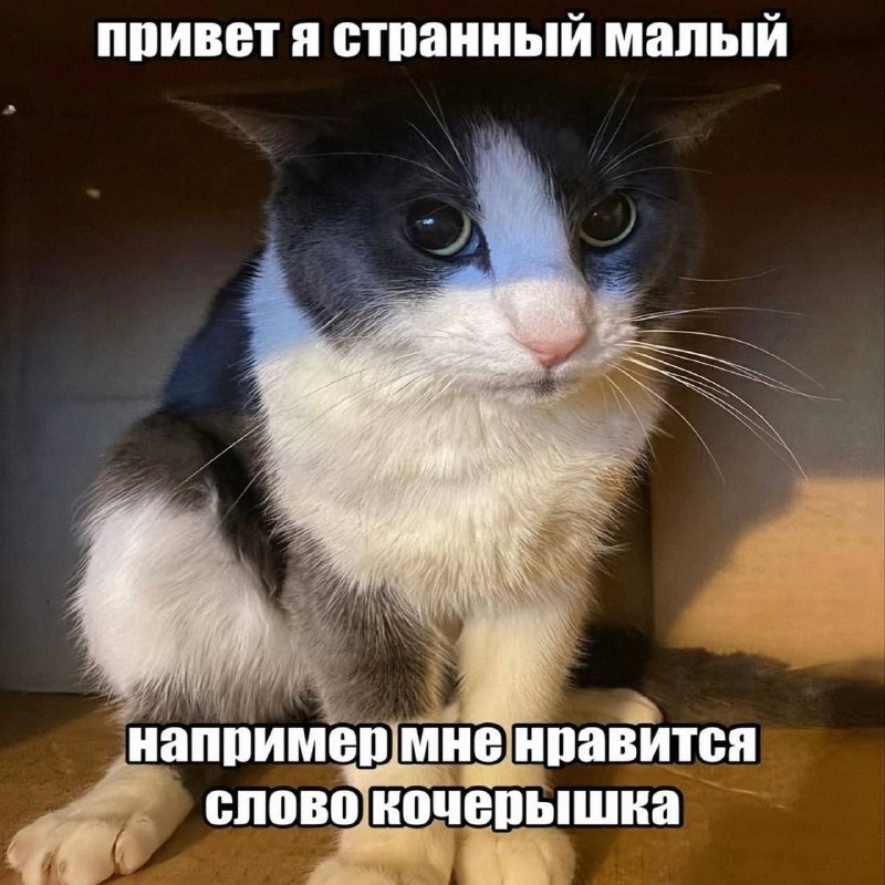 Утренняя подборочка