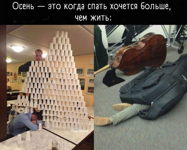 Мне и весной спать хочется постоянно)