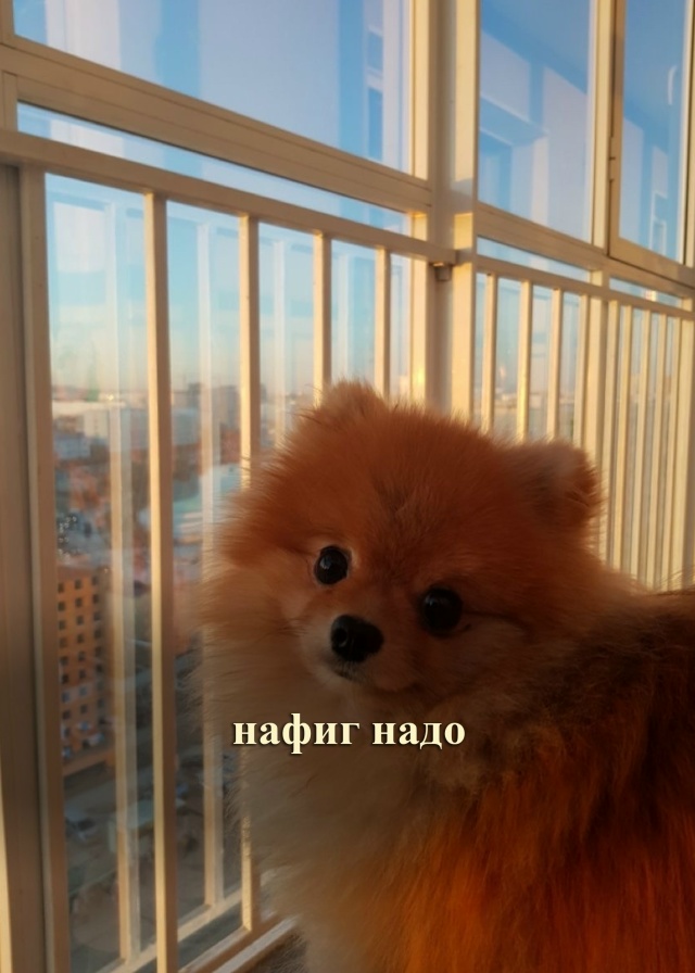 Вот и думайте 😁