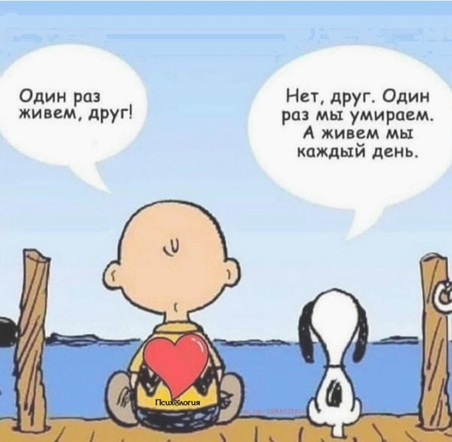 Цените каждый день вашей жизни!