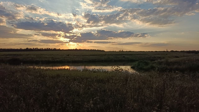 Фото от подписчика 📸