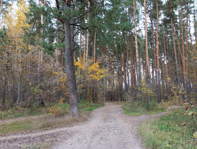 Доброй ночи, Никольск❤