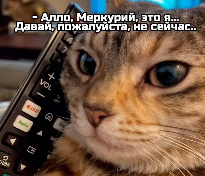 Ретроградный Меркурий начался и продлится до 29 ноября.
Астрологи советуют не покупать дорогие вещ