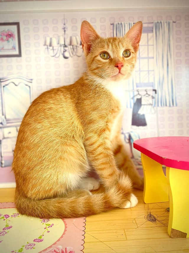 Знакомьтесь - #Мир!
#Мир не ждёт чудес,не строит воздушн?...