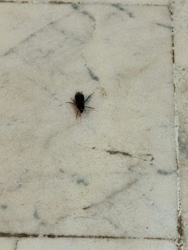 Поликлиника №4
Взрослое отделение, надеюсь мое прибыв...