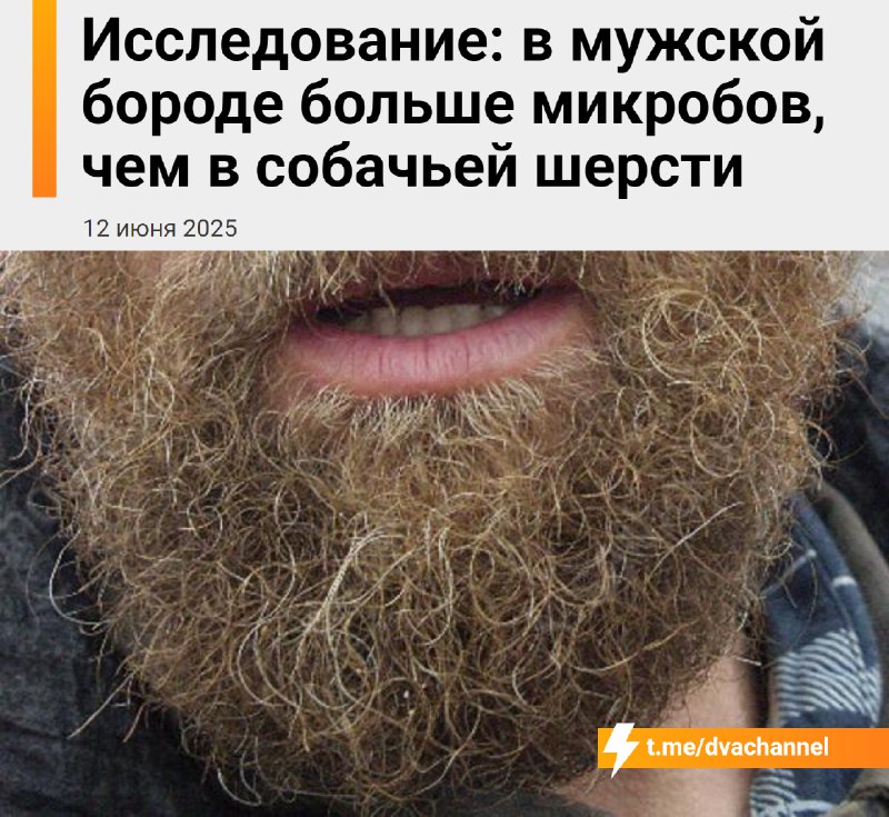 ❗️В мужской бороде больше микробов, чем в шерсти собак, выяснили учёные
На лице создаются особые ус