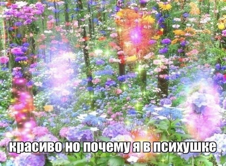 Утренняя подборочка