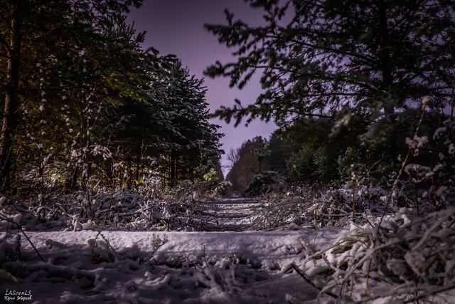 Первый снег 21 октября 2021г.
Фото: Юрий Жарков