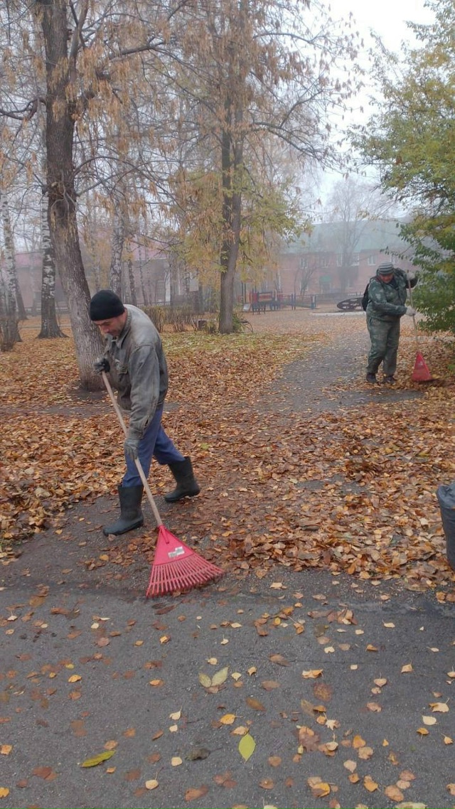 🧹 “Наше утро – это работа!”: глава администрации Сал?...
