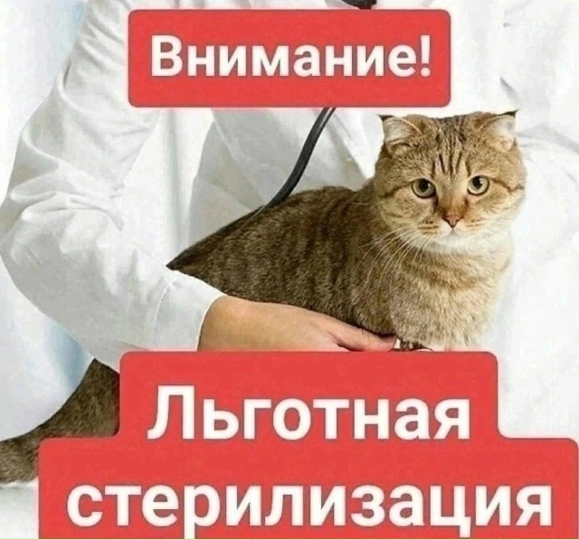 ‼️‼️‼️ ВНИМАНИЕ
22 НОЯБРЯ и ЕЖЕМЕСЯЧНО (2 раза в мес?...