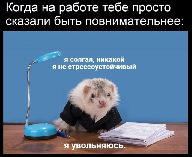 Рабочие моменты