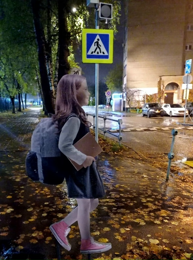 Вчера шёл мимо Лицея, который на проспекте Ленина. Стои...