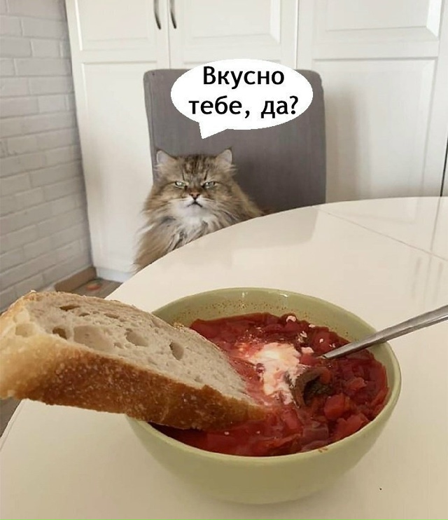 Все по классике 😂