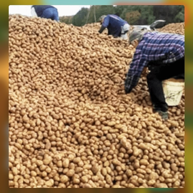 Безумные приколы
Сила социальных сетей безгранична, о?...