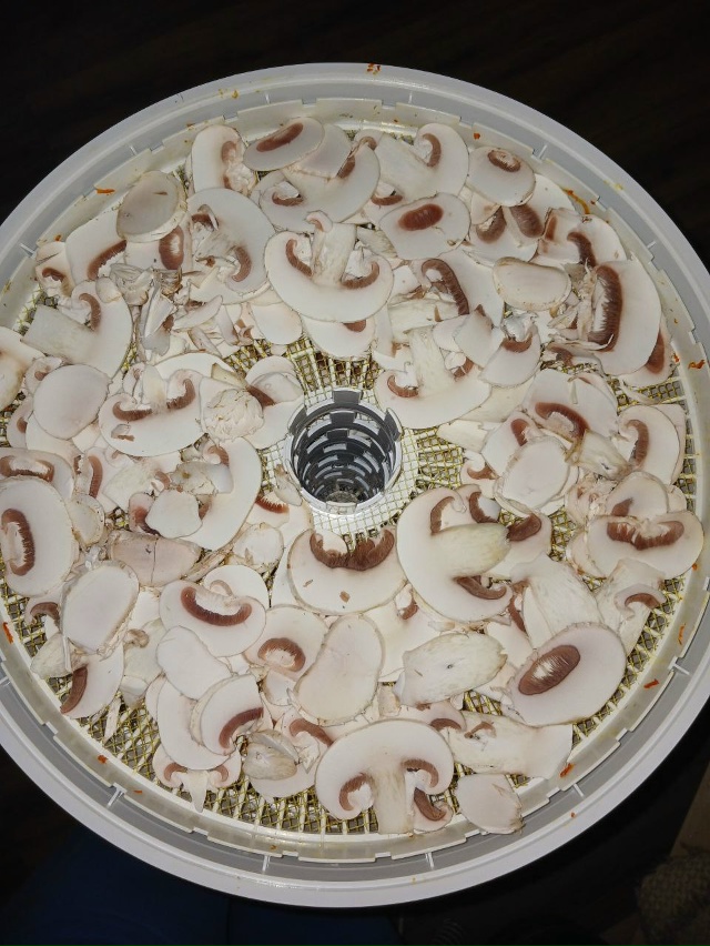 Дорогие наши жители Гаврилов-Яма и района!
Группа