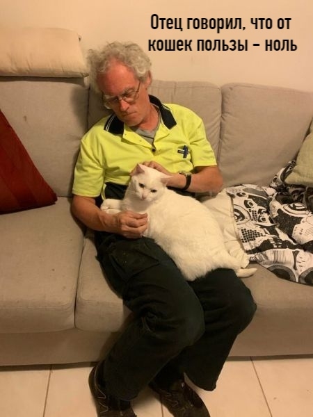 6 брутальных мужчин, которые твёрдо уверены: «Место кот...