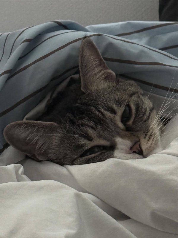 Ну идем уже споть :3