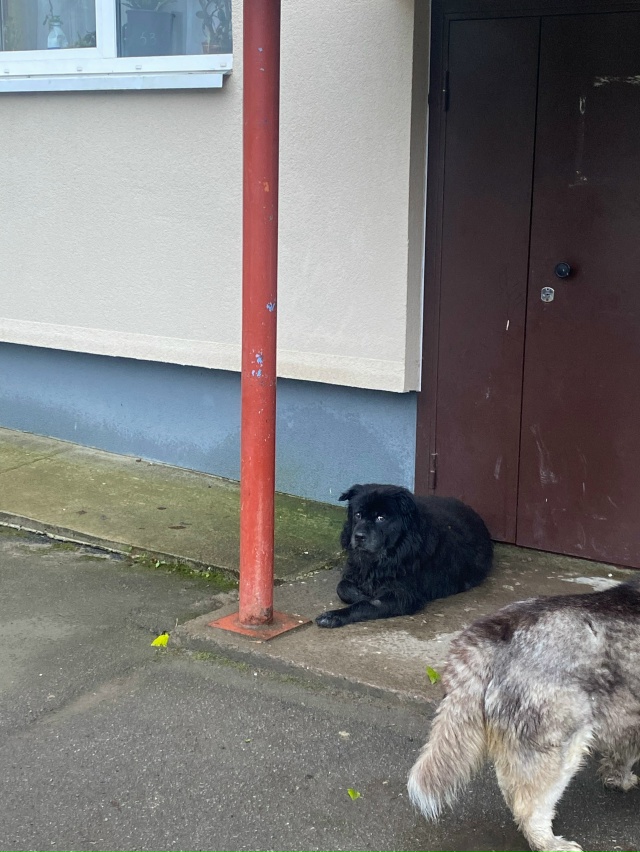 Доброе утро. В 9:50 с женщиной пересеклись в магазине в 32 ...