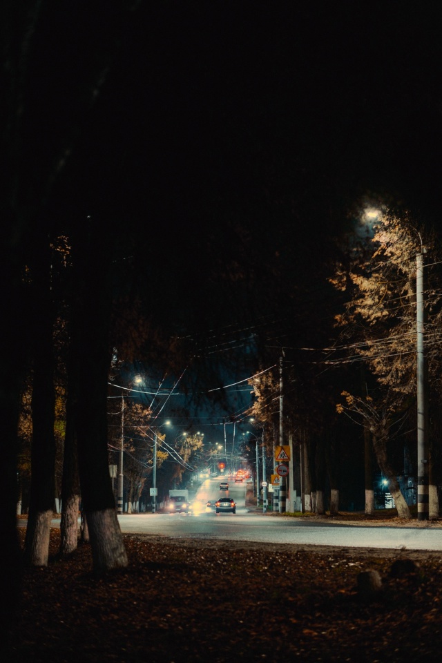 🖤 Вечерний Ковров