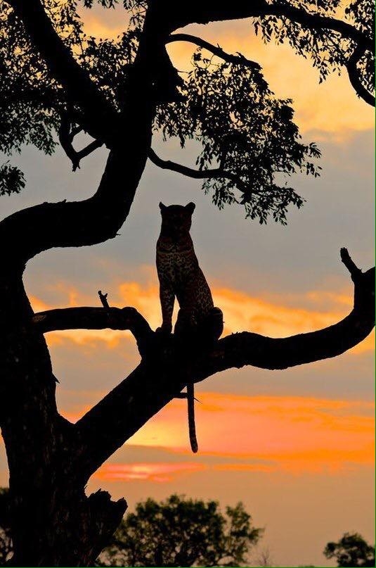 На закате....🌅