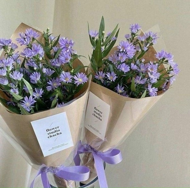 С приходом весны наша жизнь расцветает, будто начинает...