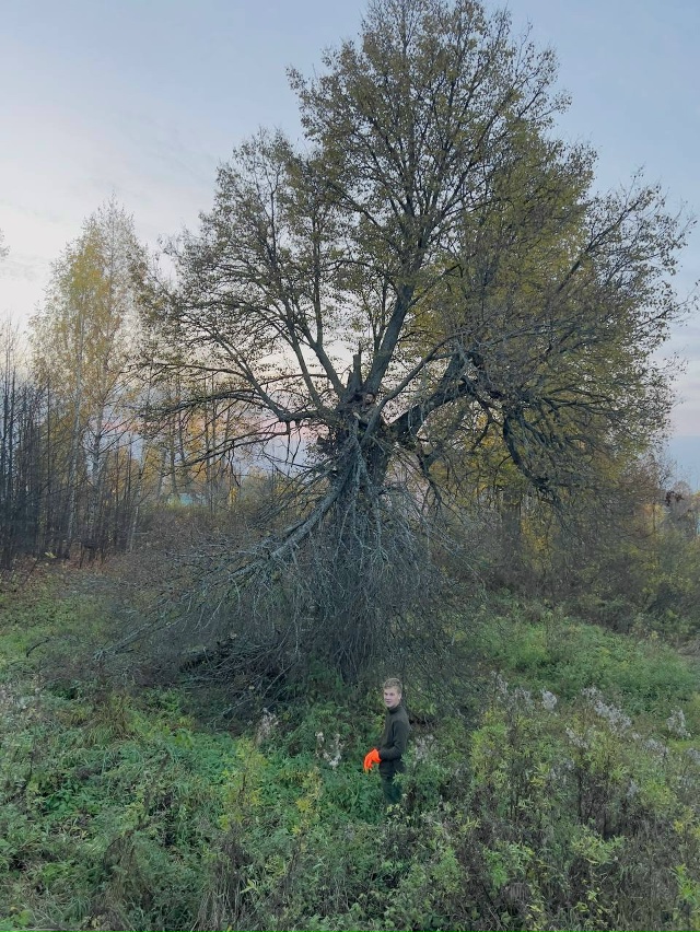 Дорогие наши, здравствуйте.
Продолжаются плановые раб...