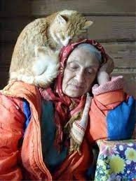 Деревенская идиллия❤