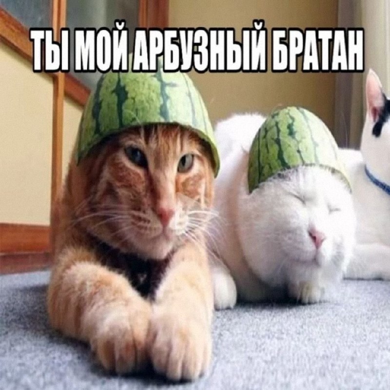 Утренняя подборочка