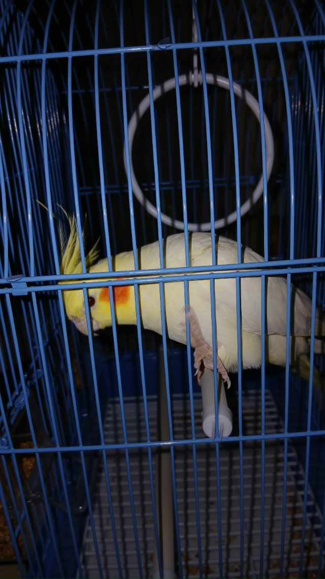 Вот поймала сегодня возле моря в Заозёрное, у кого улет...