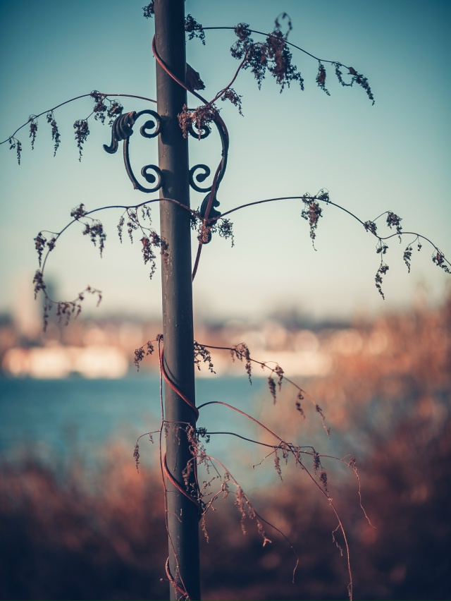 Осенний Воронеж, смотровая площадка на Спортивной Наб?...