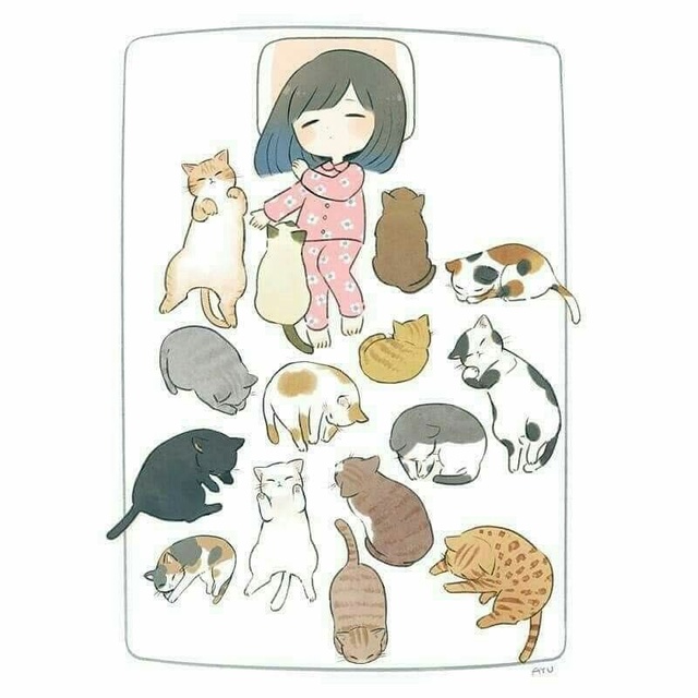 Когда живешь с одним котом, а будто с толпой котов)))