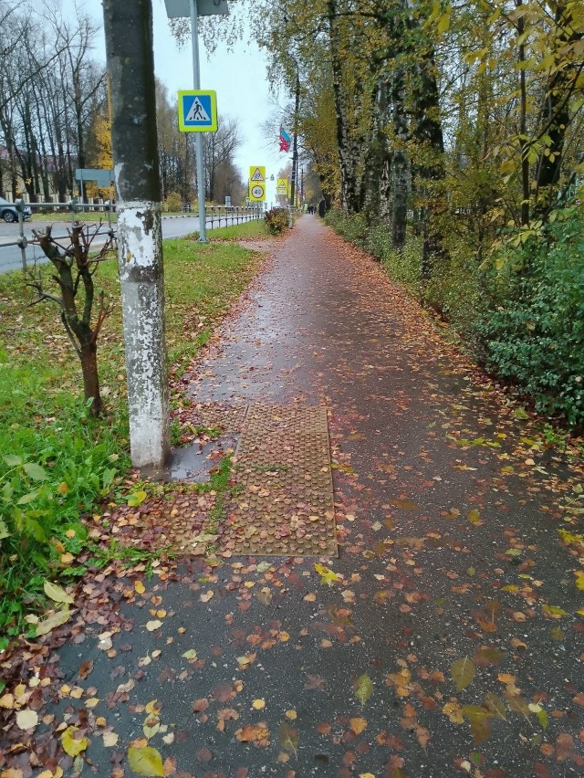 Уважаемый Мосавтодор.
Пожалуйста, очистите от листьев...