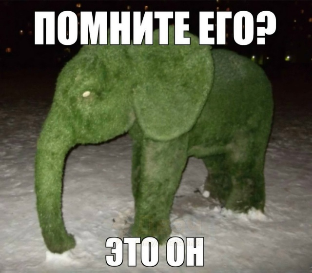 подборочка мемов