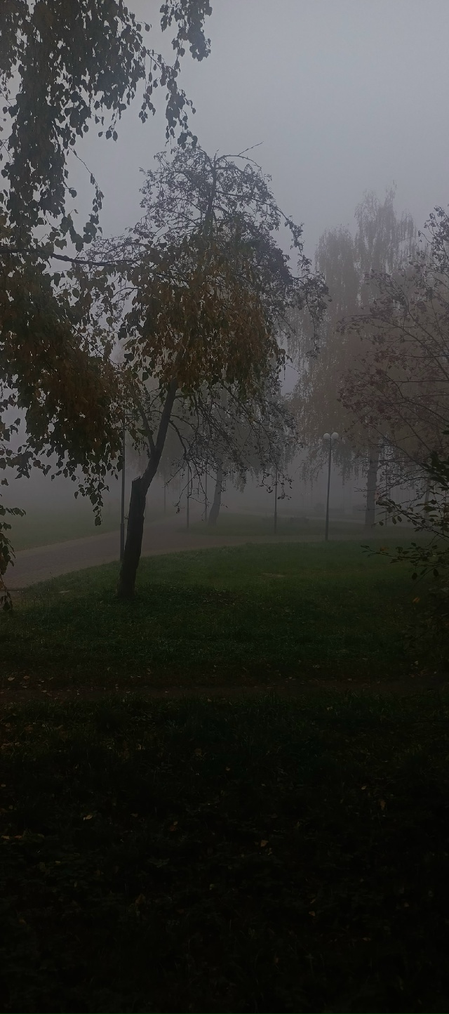 С добрым утром, Ковров!!! ☕