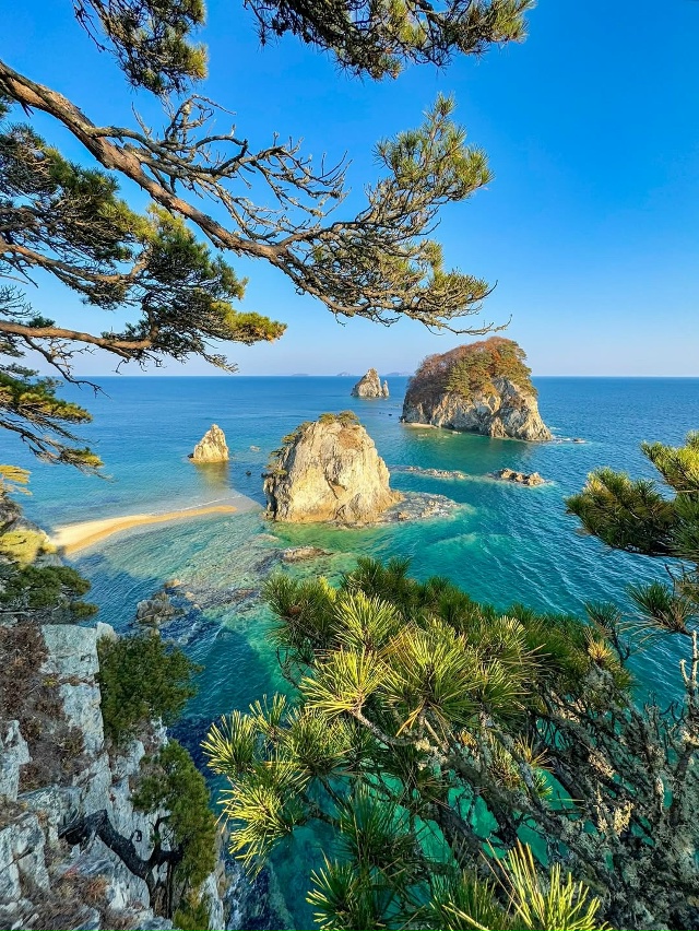 Мыс Сосновый, Приморье 🇷🇺