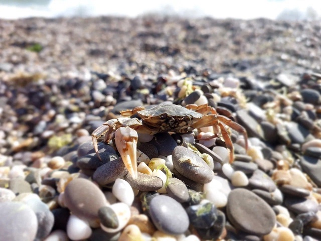 Министр экологии и природных ресурсов Республики Крым...