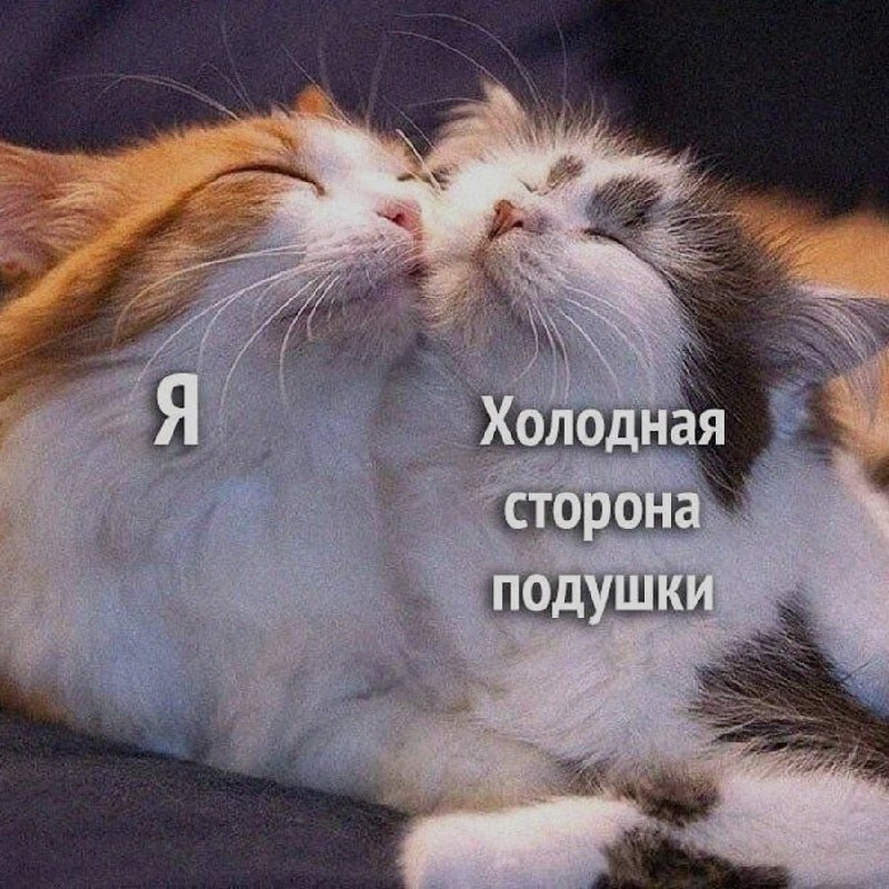 Ночная подборочка
Выходные, не спим